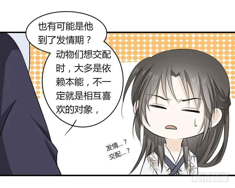 真实情感 第17页
