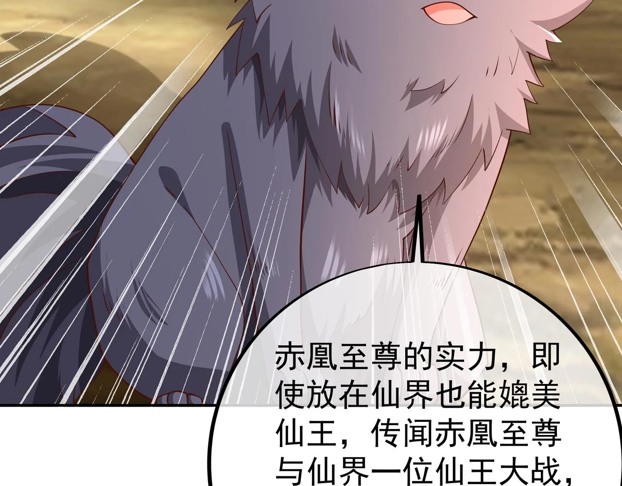 赤皇至尊 第17页