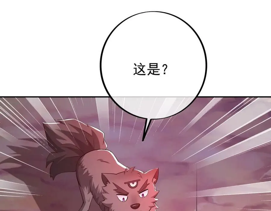 洞天之力 第12页