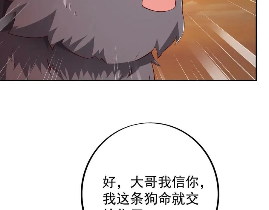 洞天之力 第41页