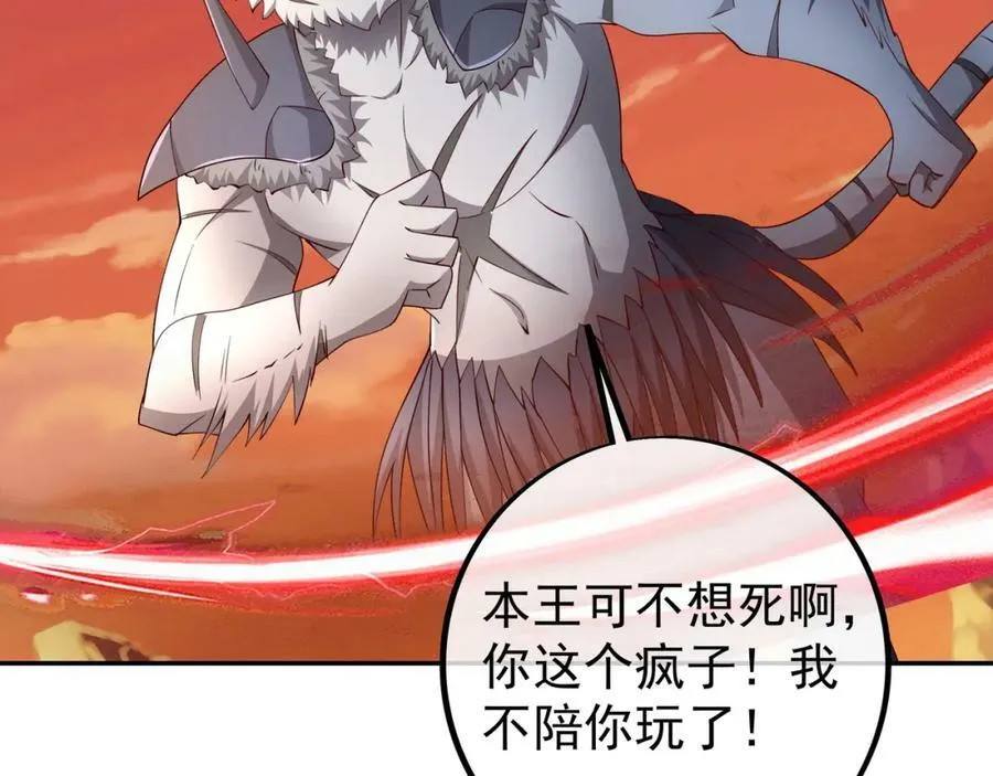 洞天之力 第51页