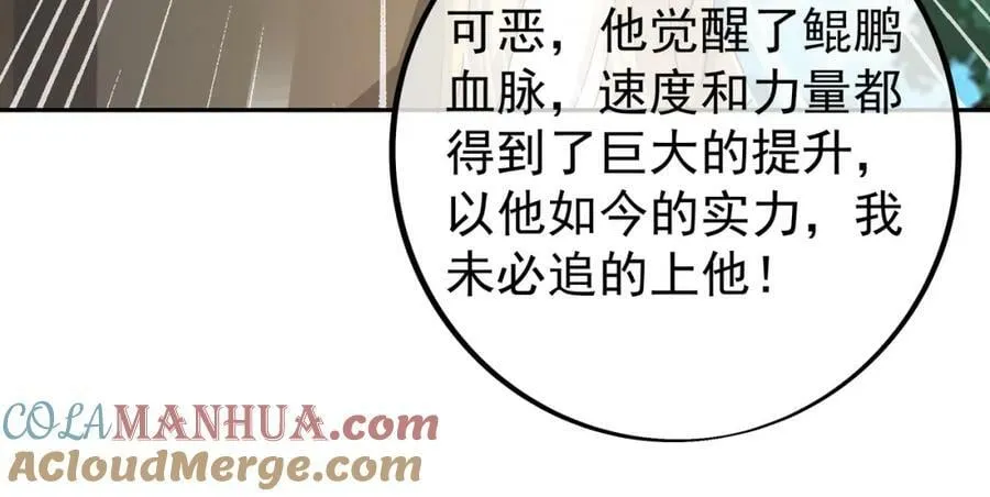 113洞天自爆 第49页