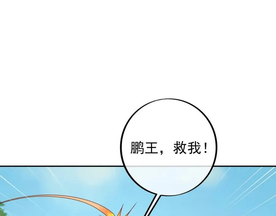 113洞天自爆 第50页