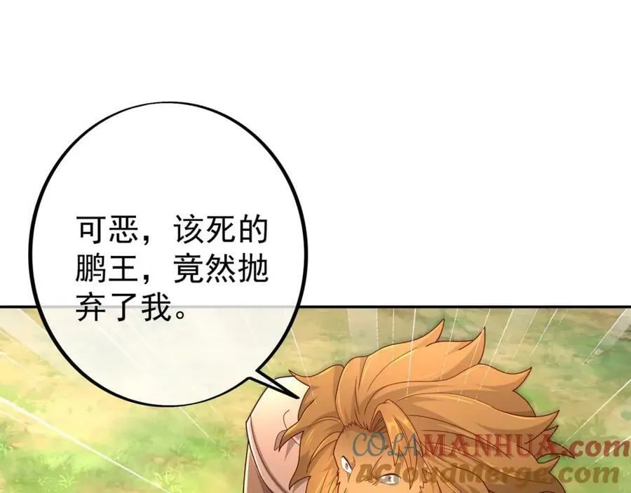 113洞天自爆 第55页
