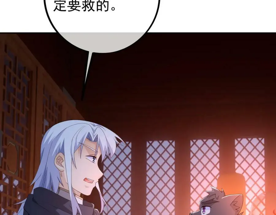 仙器 第20页