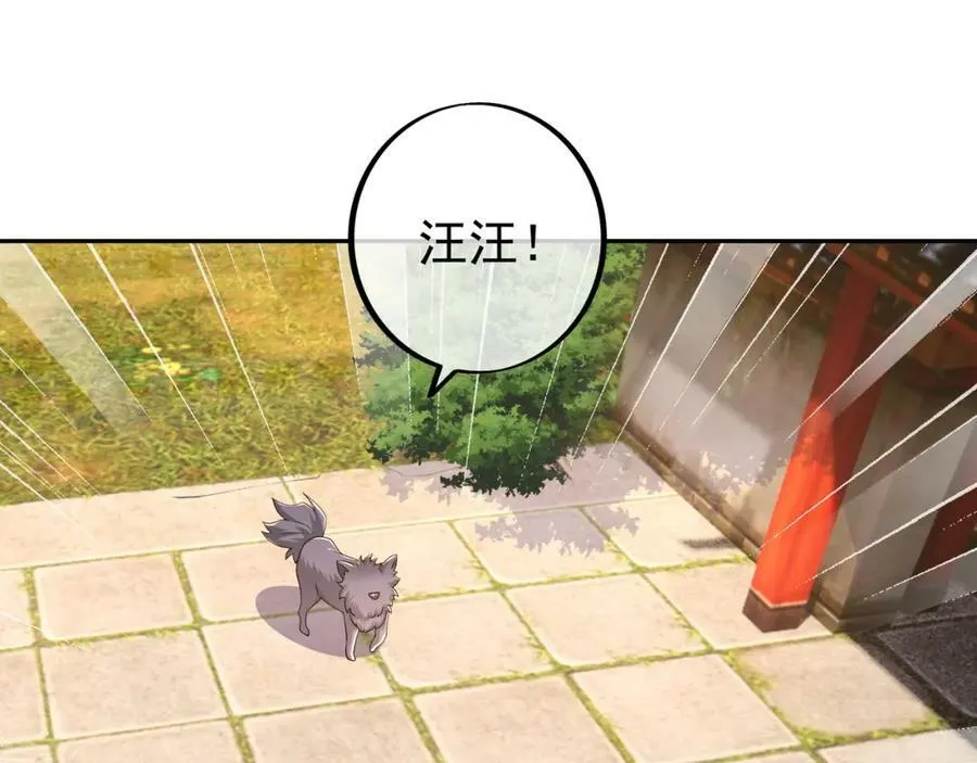 混入凌霄圣地 第35页