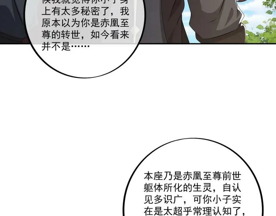 神灵的加护 第69页
