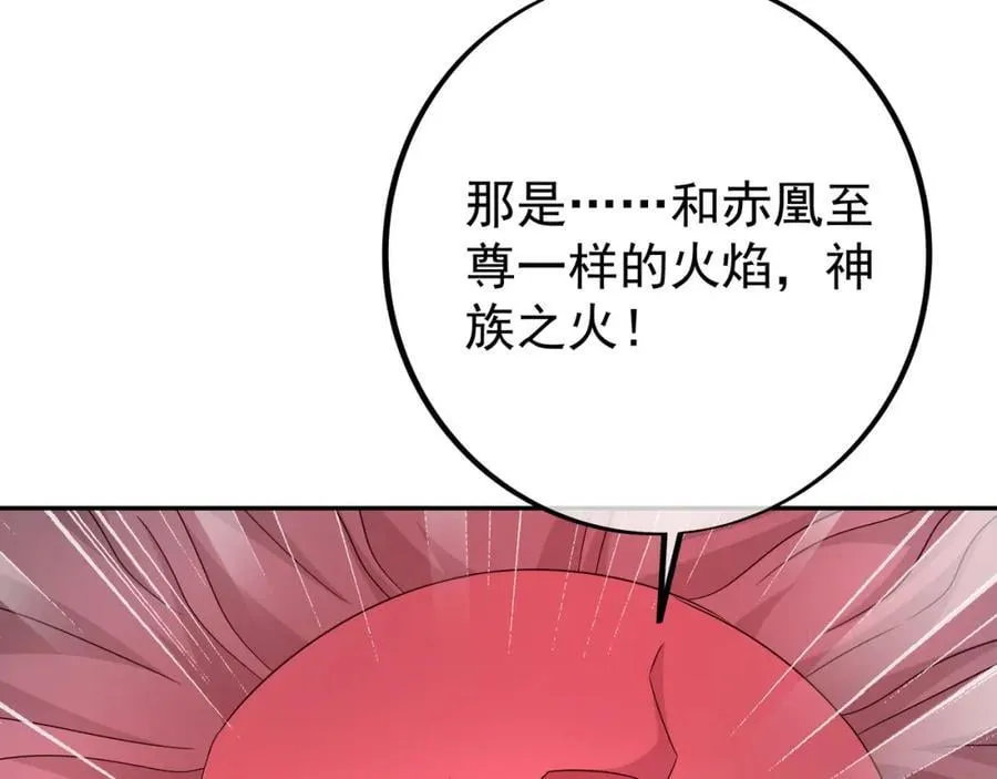 神兽之力 第24页