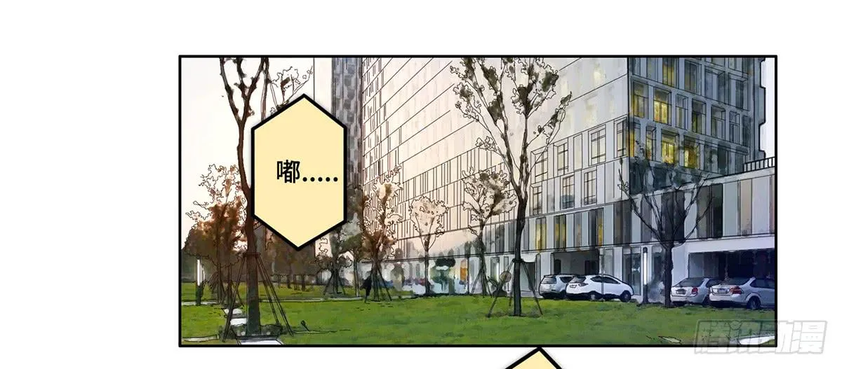 31 报废 第56页