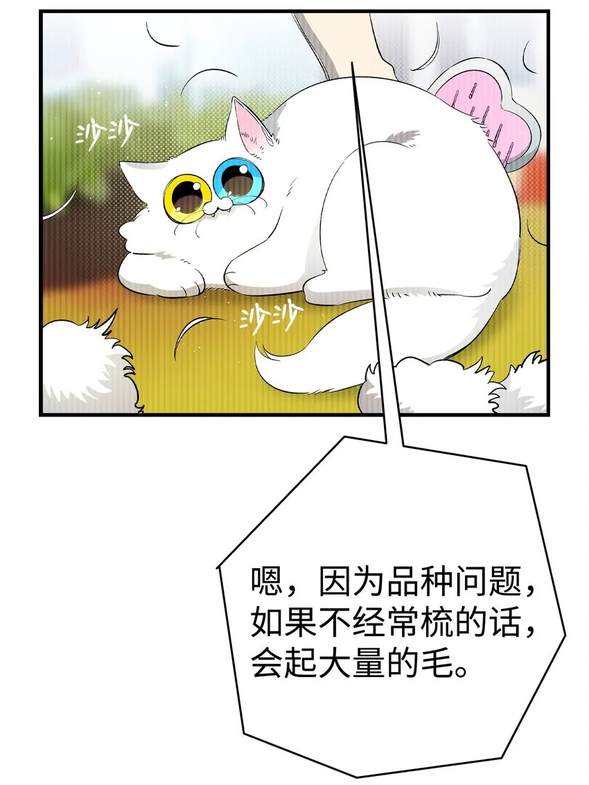 162 特别的外传 第3页