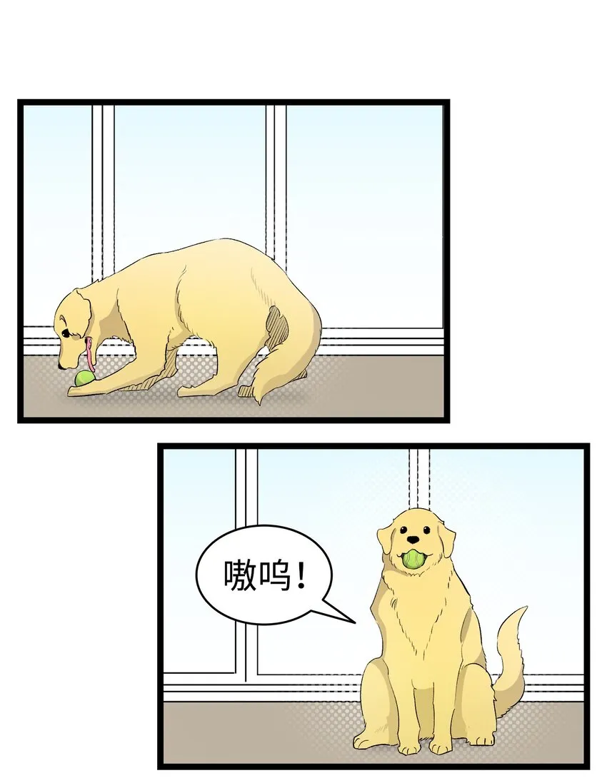 156 最后的嘱托 第56页