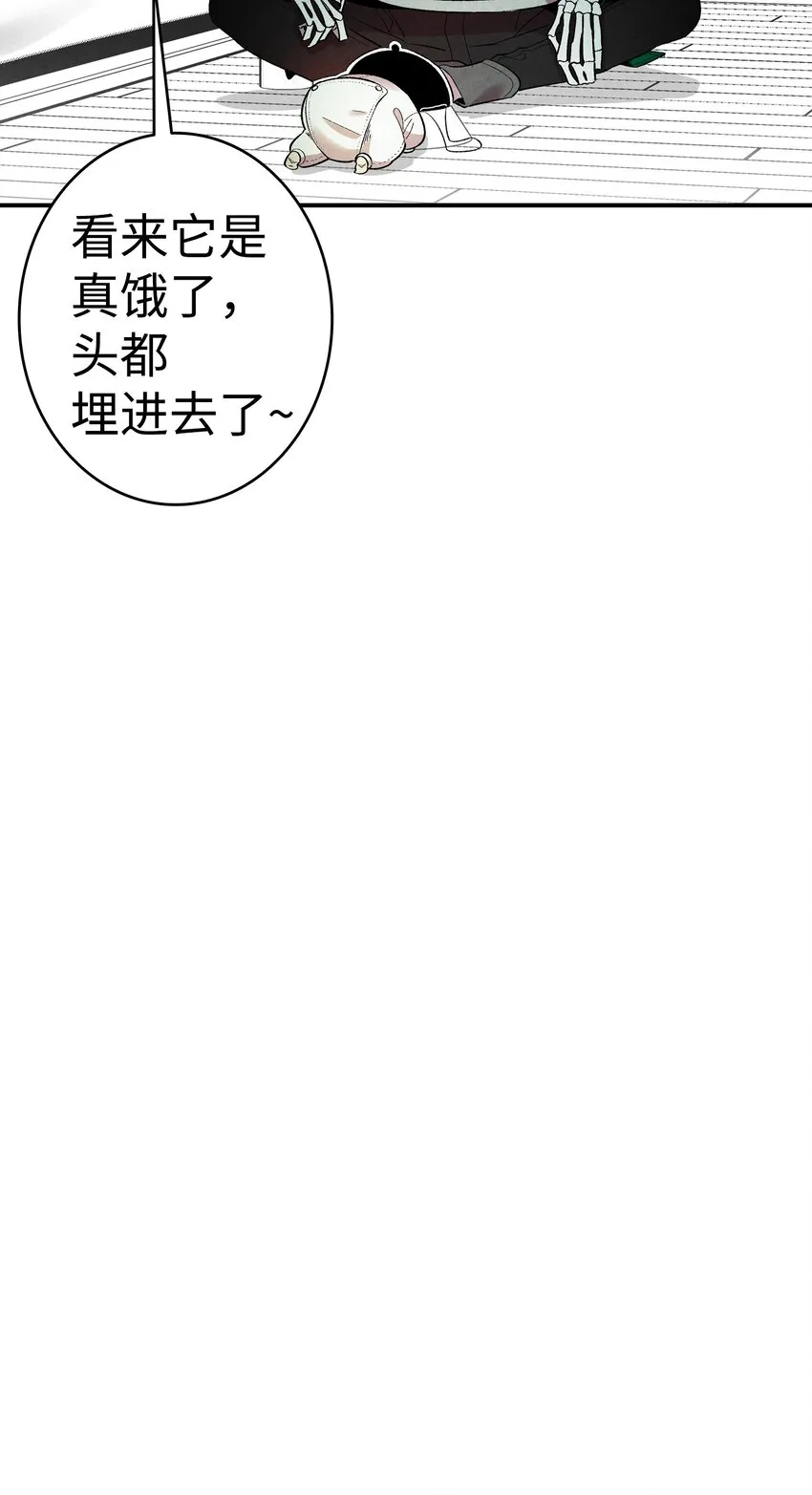 05 蝴蝶2 第4页