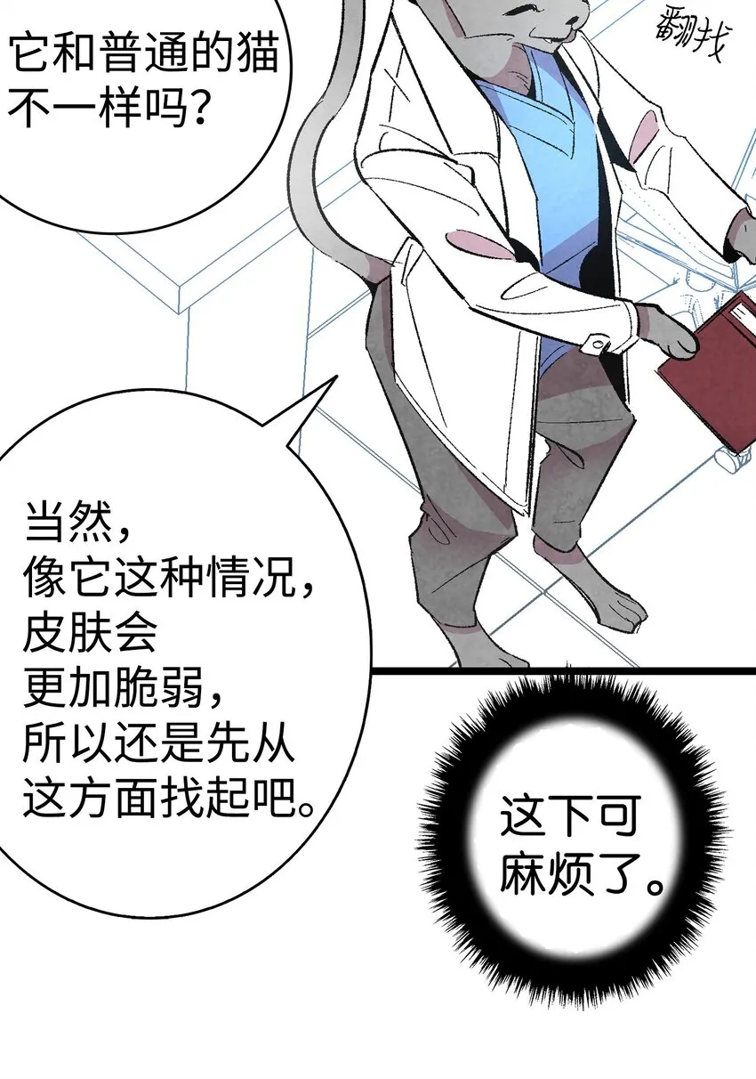06 蝴蝶3 第11页