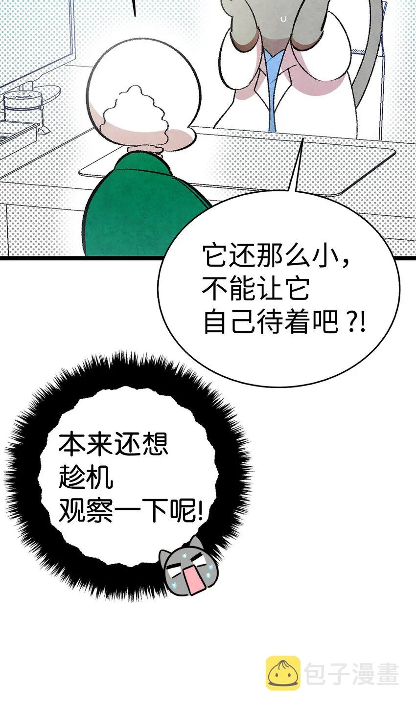 08 连衣裙 第47页