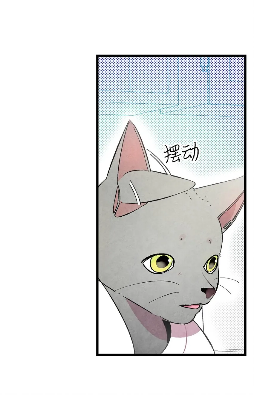 08 连衣裙 第59页