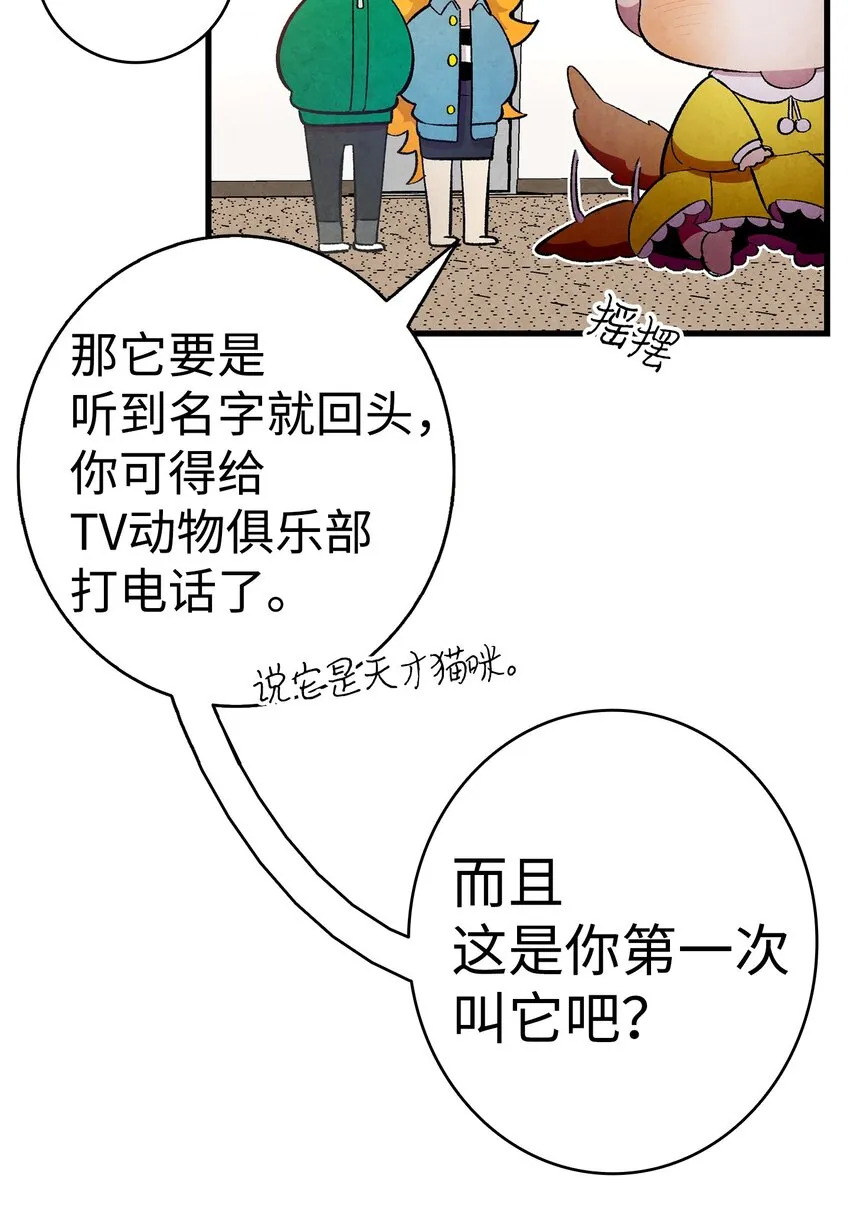 09 汇报 第11页