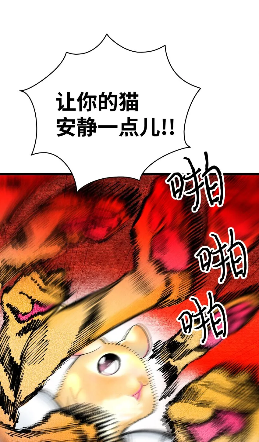 11 房东来访 第66页