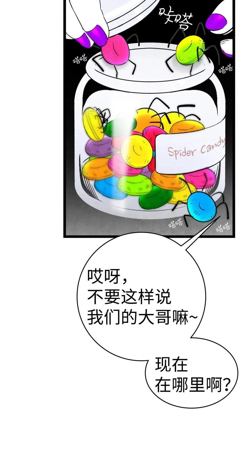 34 就是这个动物 第27页
