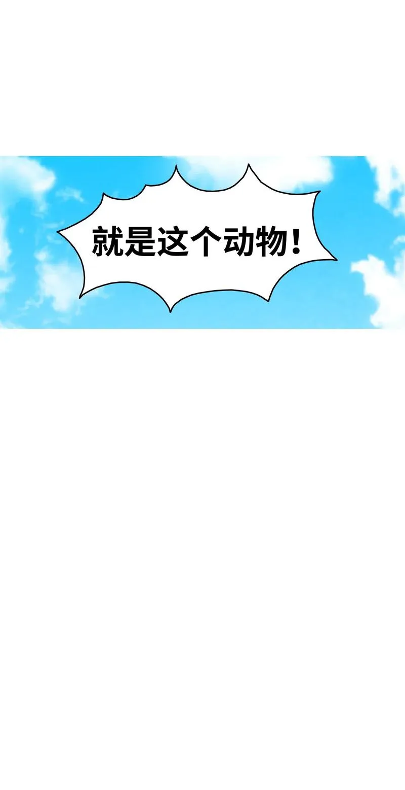 34 就是这个动物 第69页