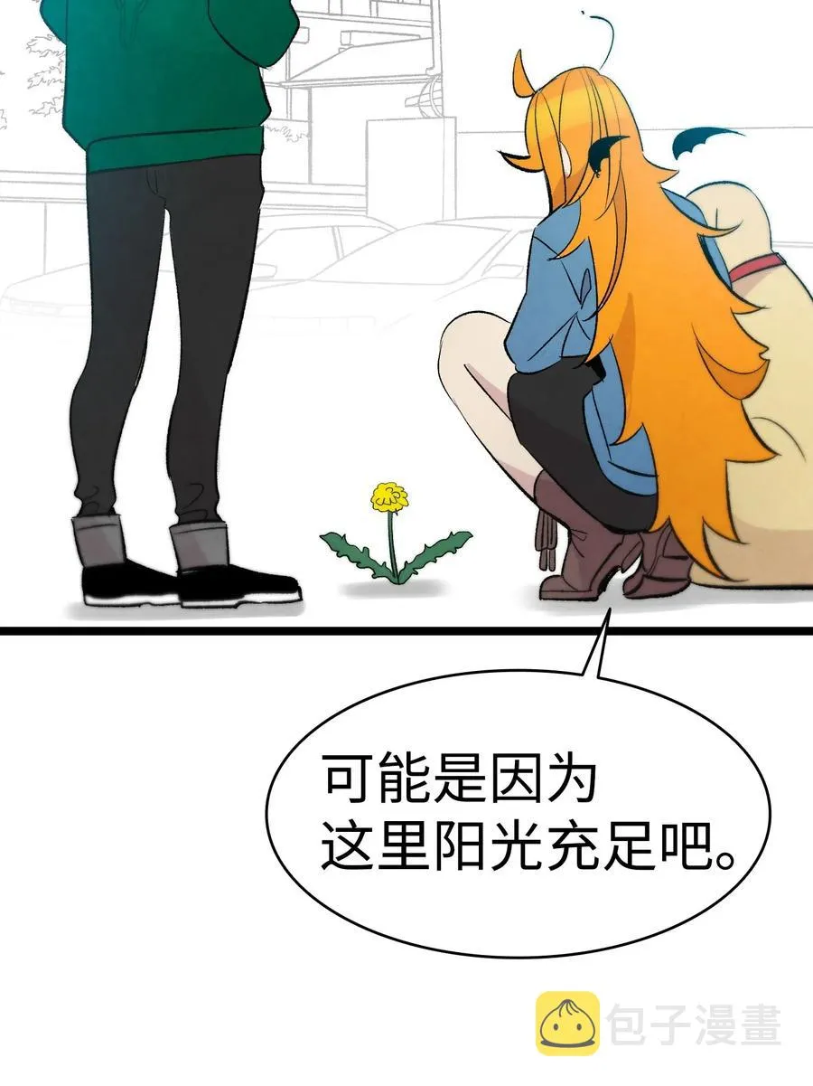 44 名字 第52页