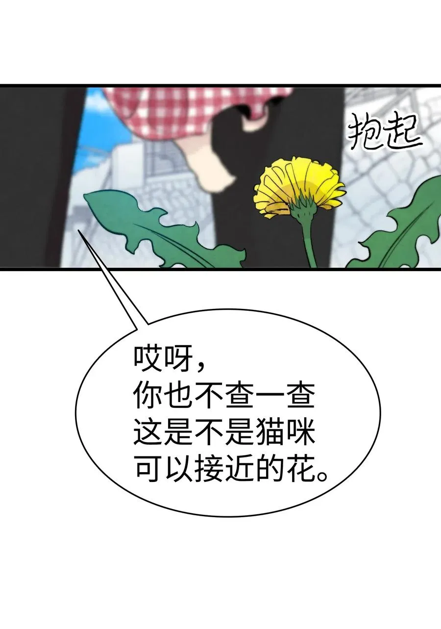 44 名字 第55页