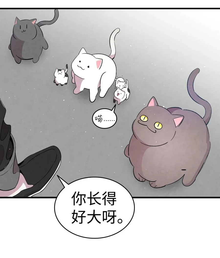 65 被盯上了 第54页