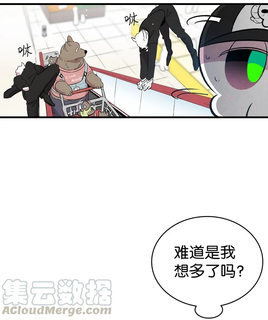 85 追踪 第52页