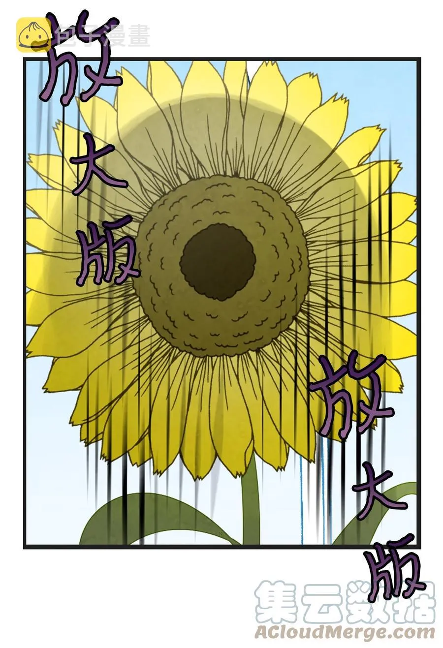 91 逛花园 第58页