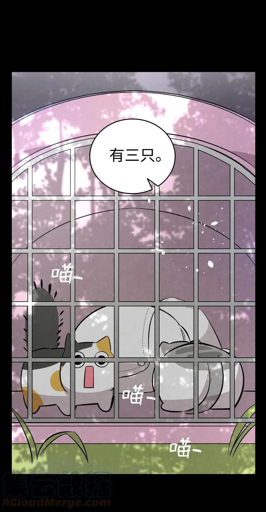 97 她不是猪 第64页