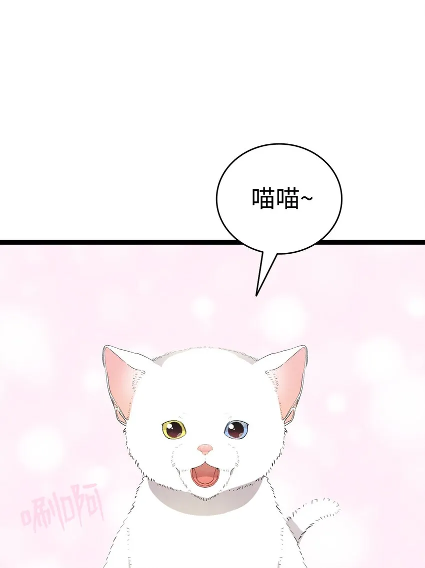 119 电视机 第8页