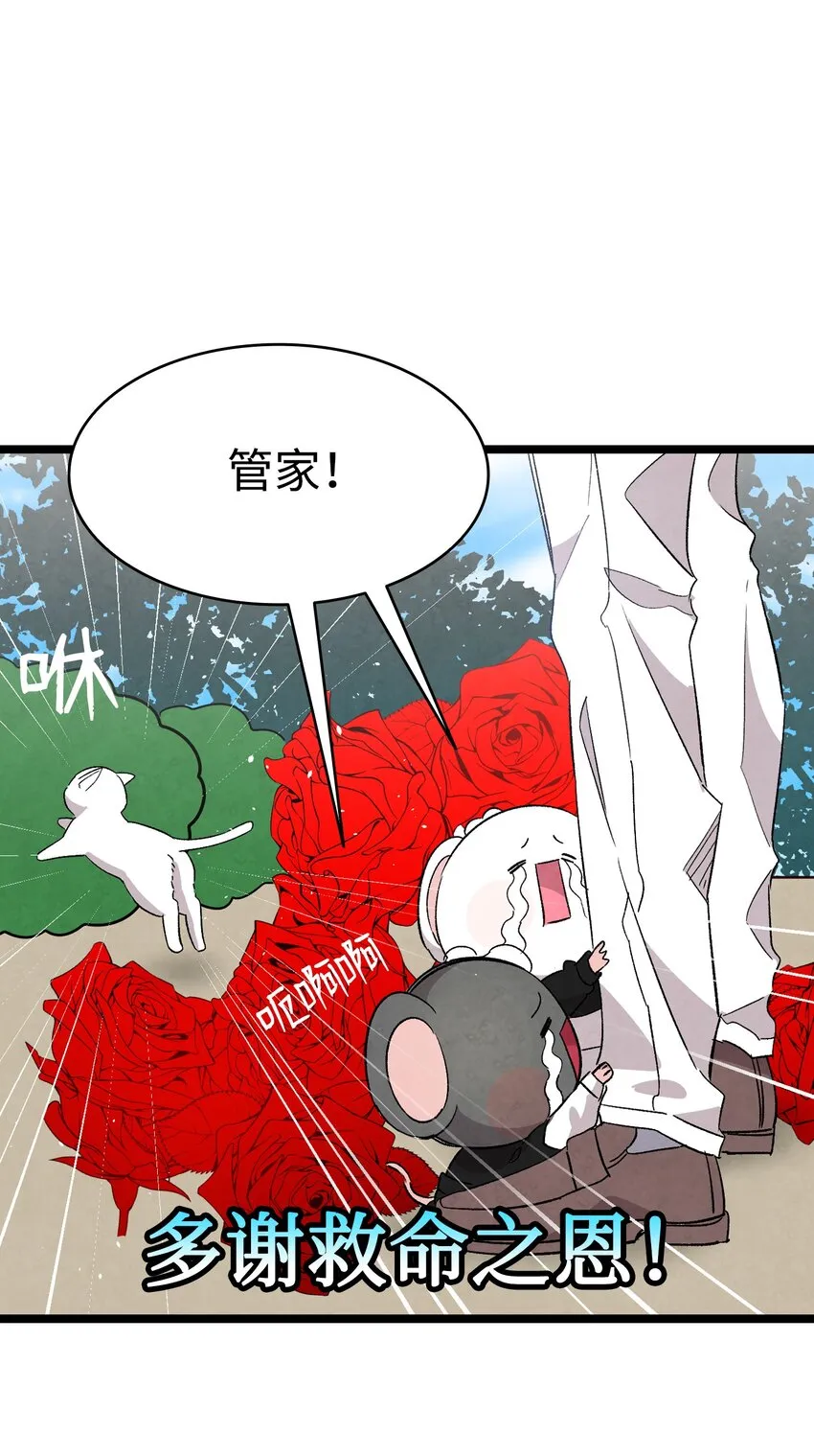 119 电视机 第17页