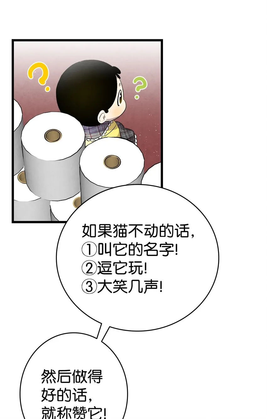 133 网红拍摄 第36页