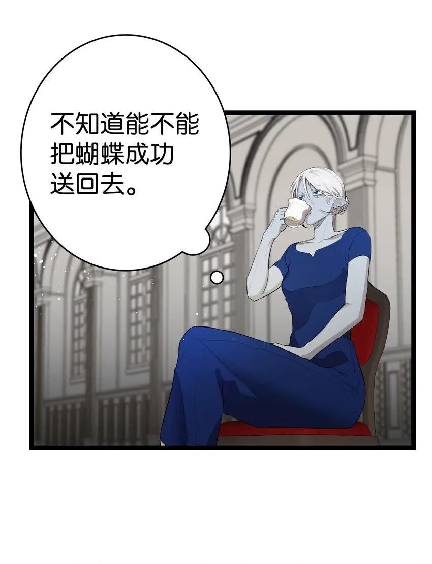 144 蝴蝶的身世 第38页