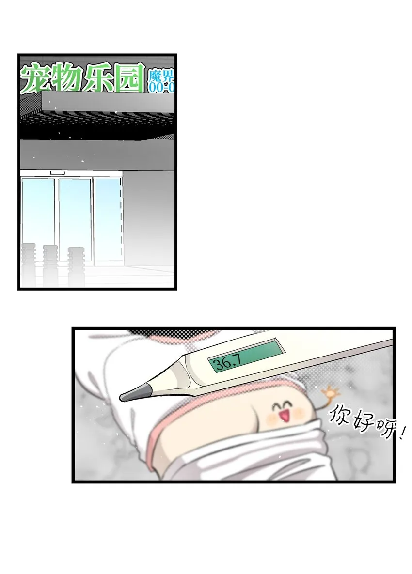 147 蝴蝶病倒 第48页