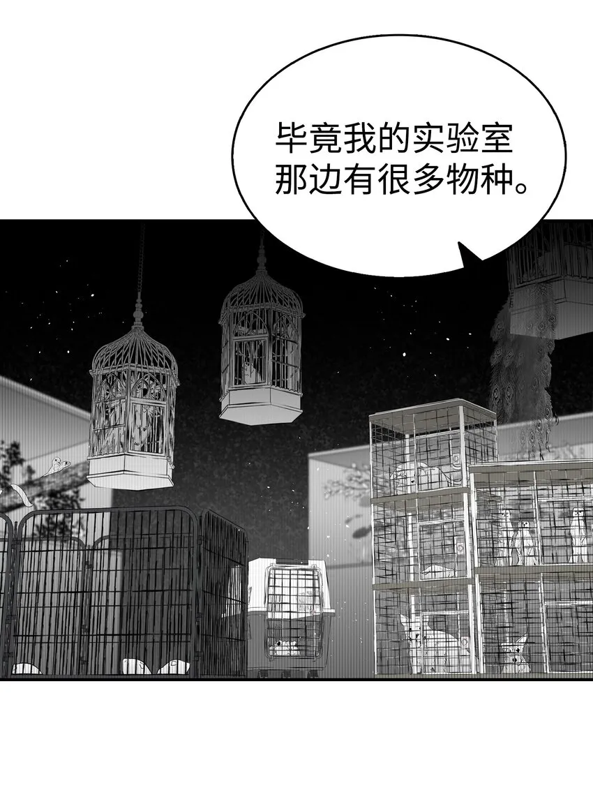 149 艰难抉择 第50页