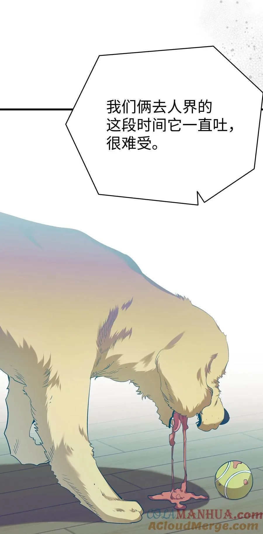 216 复活魔法 第61页