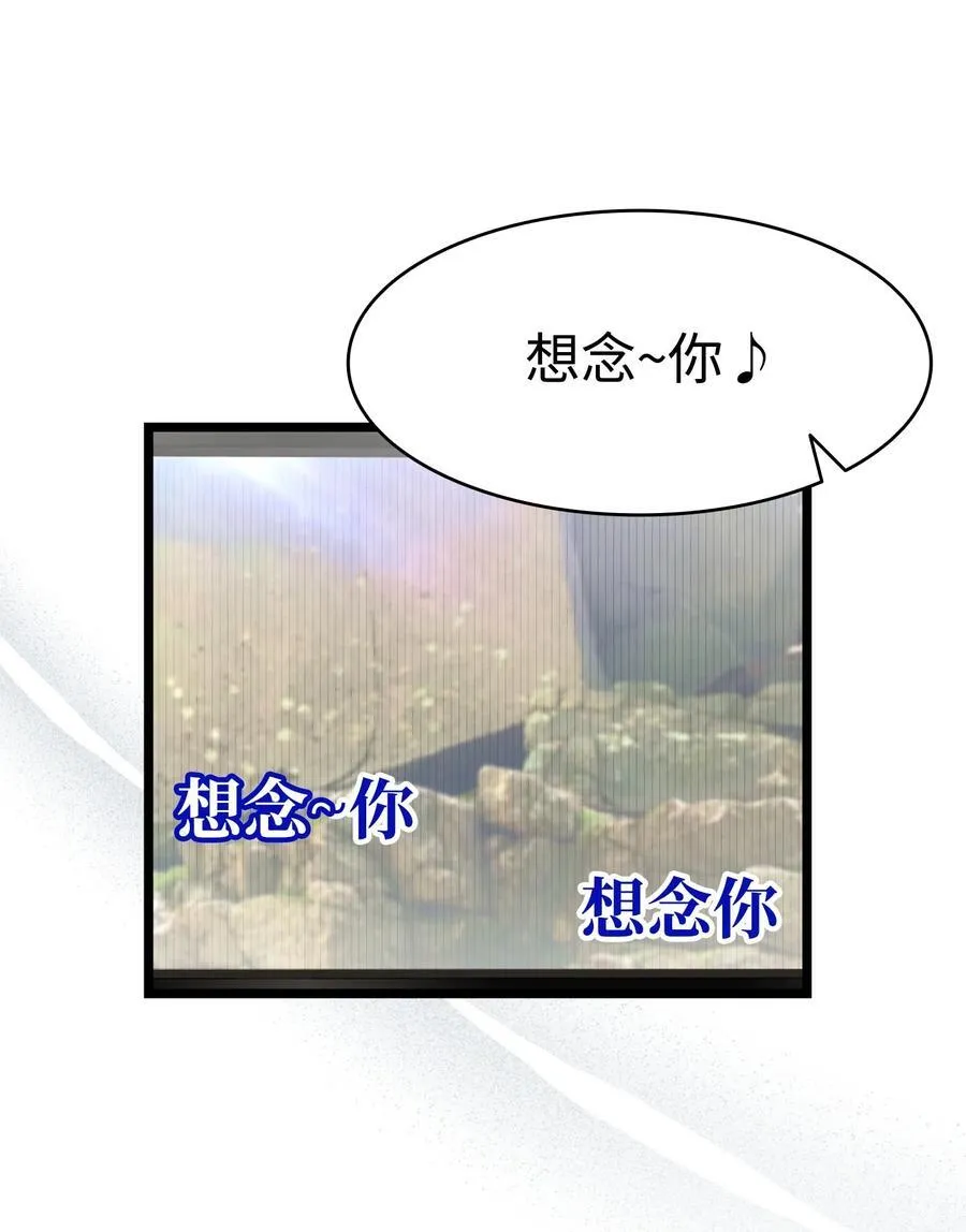 236 旅游 第74页