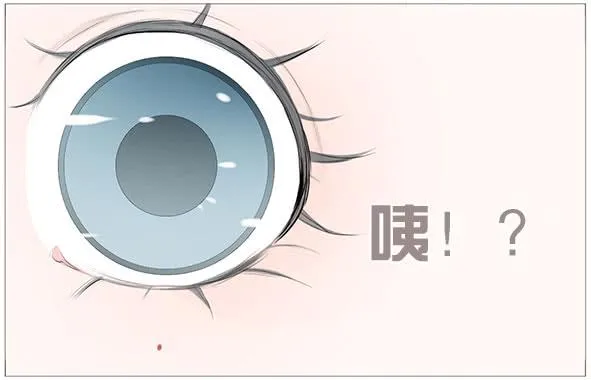 家宴 第44页