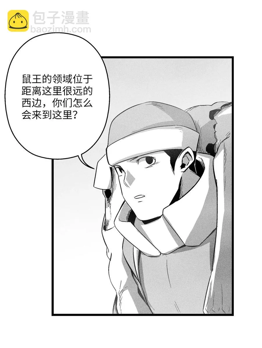 064 被鼠王觊觎的原因 第15页