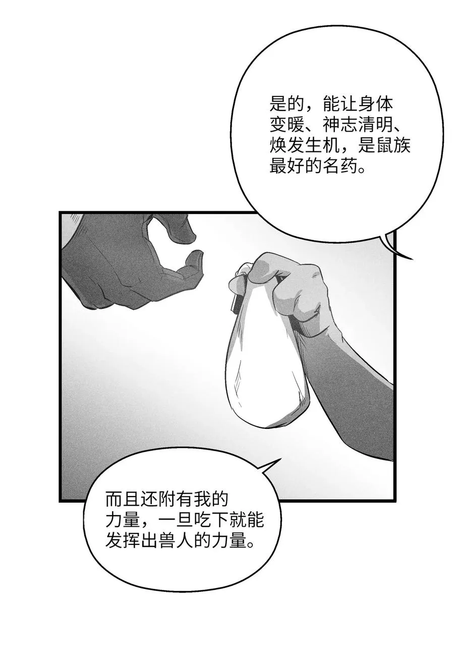 064 被鼠王觊觎的原因 第44页