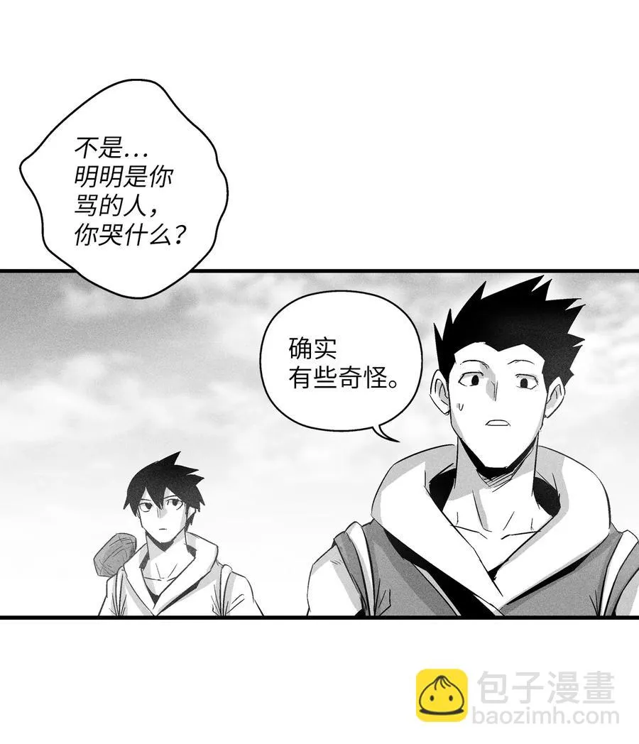 065 举止怪异的同路者 第47页