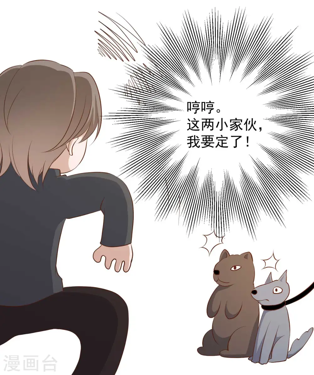 第49话 彪悍宠物 第35页
