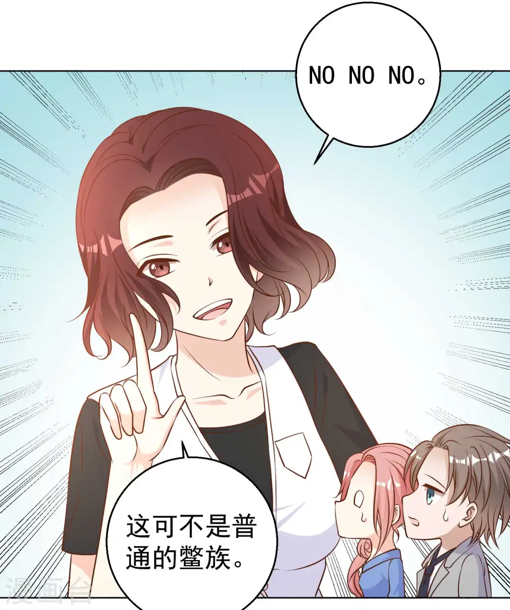 第21话 神秘斑鳖 第5页