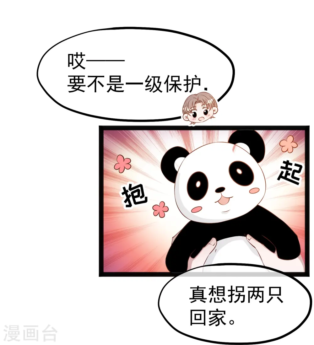 第289话 免费熊猫抱不得！ 第3页