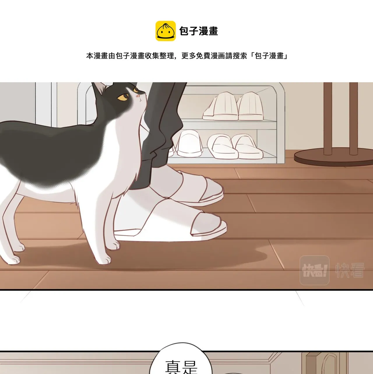 第22话 厄运缠身 第17页