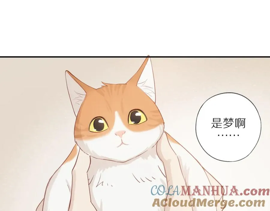 第8话 “狗粮” 第4页