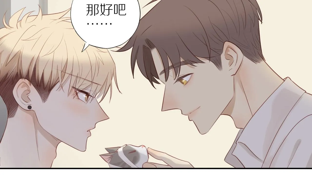 第6话 猫咪纹身 第52页