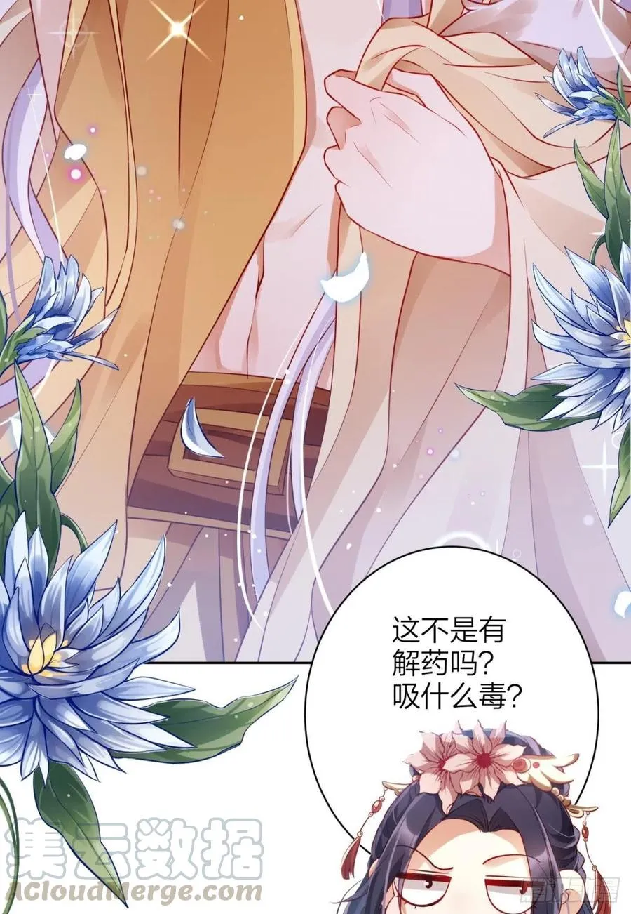 他给你的，我也能给 第13页