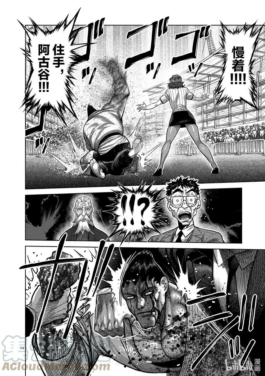 39 胜负已分 第17页
