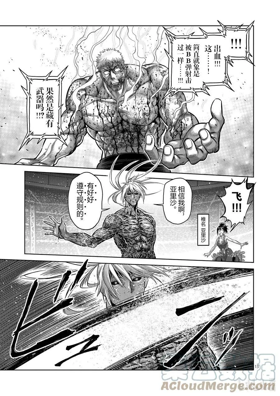 125 第叁奥义 第13页